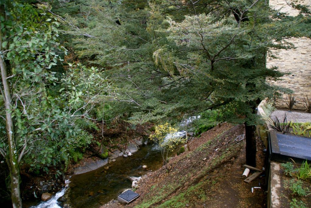 El Oasis Apart Hotel San Martin de los Andes Ngoại thất bức ảnh